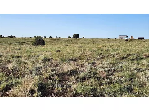 R Path, Cotopaxi, CO 81223 photo 16