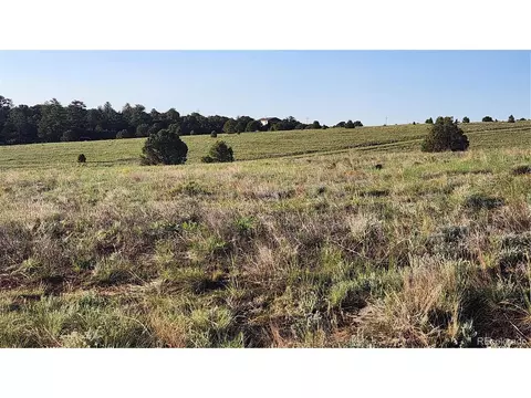 R Path, Cotopaxi, CO 81223 photo 15
