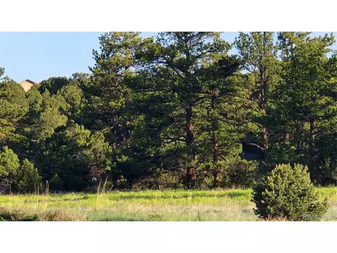 R Path, Cotopaxi, CO 81223 photo 9