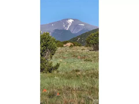 R Path, Cotopaxi, CO 81223 photo 10