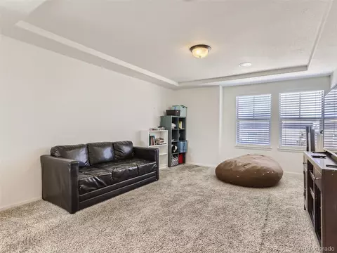 4898 Dunkirk St, Denver, CO 80249 photo 15