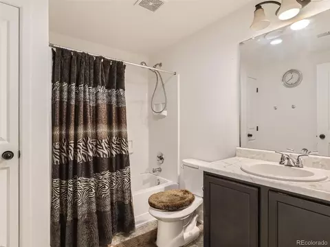 4898 Dunkirk St, Denver, CO 80249 photo 21