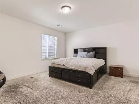 4898 Dunkirk St, Denver, CO 80249 photo 20