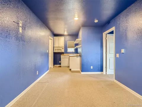 8703 E Doane Pl, Denver, CO 80231 photo 23