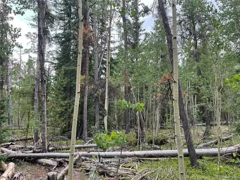 0 Rye Ct, Fairplay, CO 80440