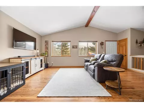9239 Black Mountain Dr, Conifer, CO 80433 photo 12