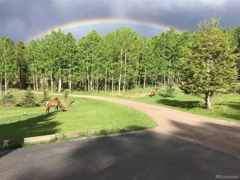 9239 Black Mountain Dr, Conifer, CO 80433 photo 3