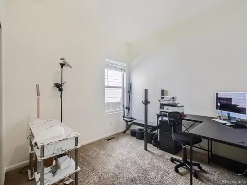 1087 Long Meadows St, Windsor, CO 80550 photo 7