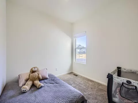 1087 Long Meadows St, Windsor, CO 80550 photo 8