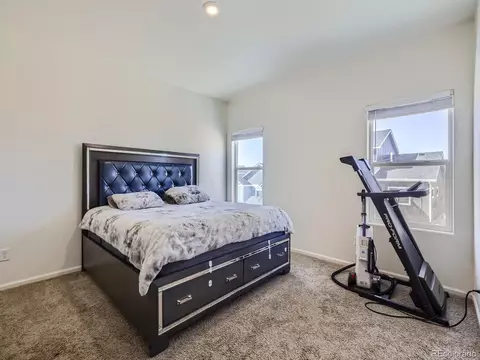 1087 Long Meadows St, Windsor, CO 80550 photo 5
