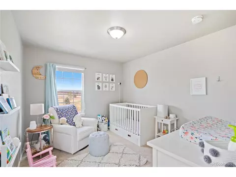 2170 Longfin Dr, Windsor, CO 80550 photo 27