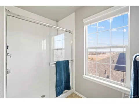 2170 Longfin Dr, Windsor, CO 80550 photo 25