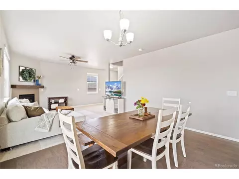 2170 Longfin Dr, Windsor, CO 80550 photo 10