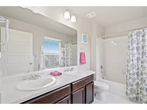 2170 Longfin Dr, Windsor, CO 80550 photo 30