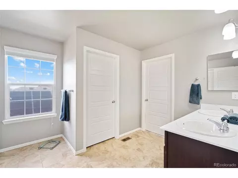 2170 Longfin Dr, Windsor, CO 80550 photo 23