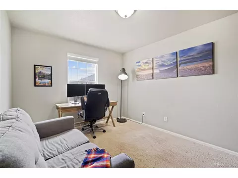 2170 Longfin Dr, Windsor, CO 80550 photo 29