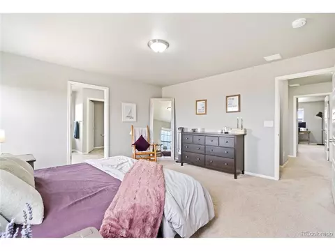 2170 Longfin Dr, Windsor, CO 80550 photo 21