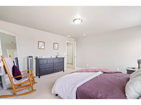 2170 Longfin Dr, Windsor, CO 80550 photo 22