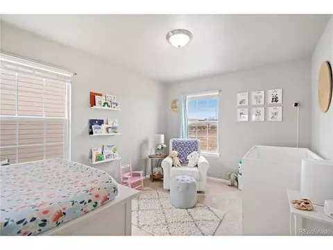 2170 Longfin Dr, Windsor, CO 80550 photo 26