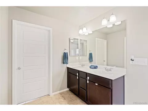 2170 Longfin Dr, Windsor, CO 80550 photo 24