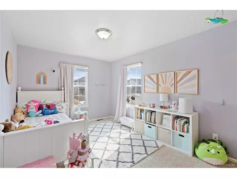 2170 Longfin Dr, Windsor, CO 80550 photo 28