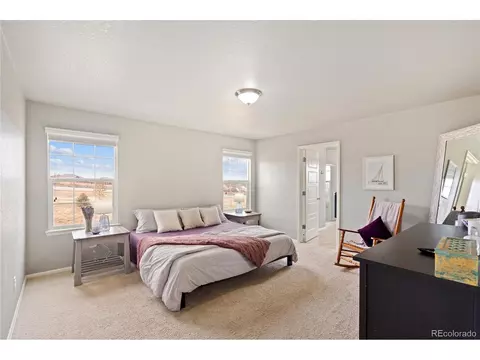 2170 Longfin Dr, Windsor, CO 80550 photo 20