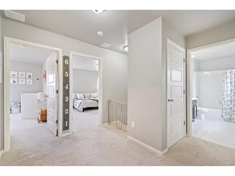 2170 Longfin Dr, Windsor, CO 80550 photo 31