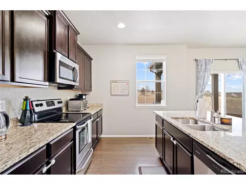 2170 Longfin Dr, Windsor, CO 80550 photo 14