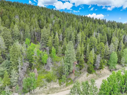 102 Lodgepole Dr, Evergreen, CO 80439