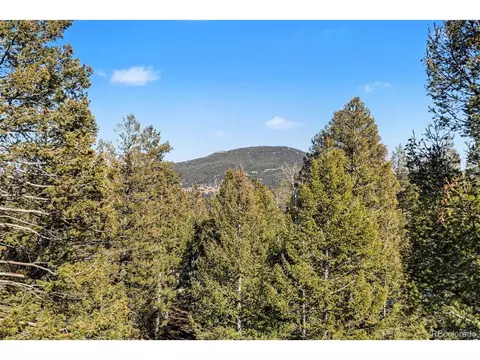 Other - 9780 S Warhawk Rd, Conifer, CO 80433 photo 4 of 11
