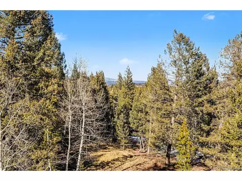 Other - 9780 S Warhawk Rd, Conifer, CO 80433 photo 3 of 11
