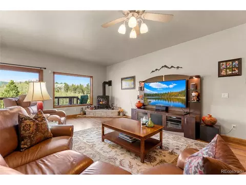 Living - 563 Pine Cone Cir, Ward, CO 80481 photo 2 of 6
