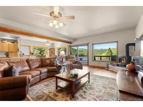 Living - 563 Pine Cone Cir, Ward, CO 80481 photo 4 of 6