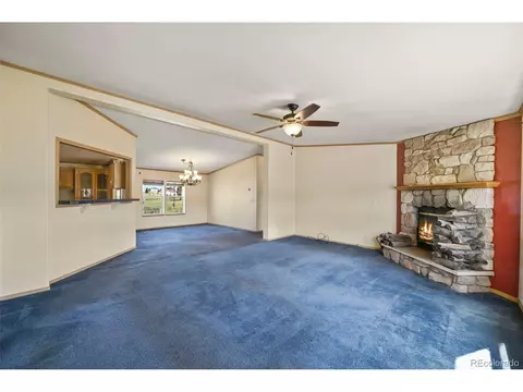 217 E Minstrel Dr, Divide, CO 80814 photo 4