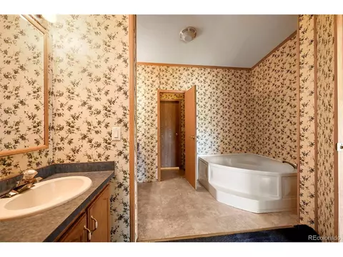 217 E Minstrel Dr, Divide, CO 80814 photo 17