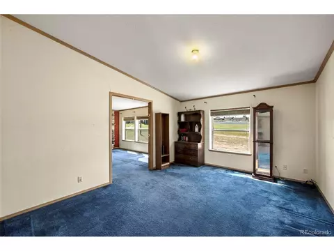 217 E Minstrel Dr, Divide, CO 80814 photo 14