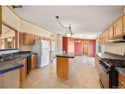 217 E Minstrel Dr, Divide, CO 80814 photo 9