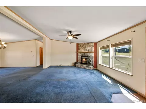 217 E Minstrel Dr, Divide, CO 80814 photo 5