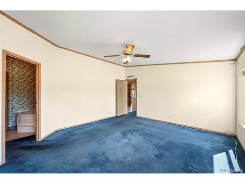 217 E Minstrel Dr, Divide, CO 80814 photo 16