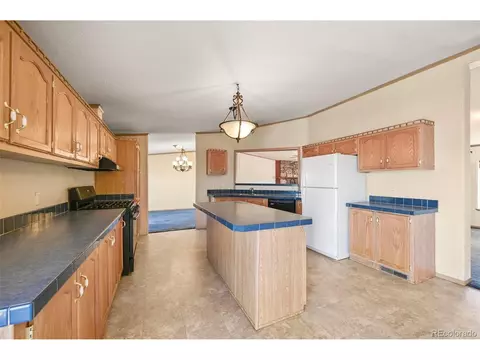 217 E Minstrel Dr, Divide, CO 80814 photo 10