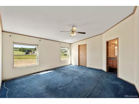 217 E Minstrel Dr, Divide, CO 80814 photo 15