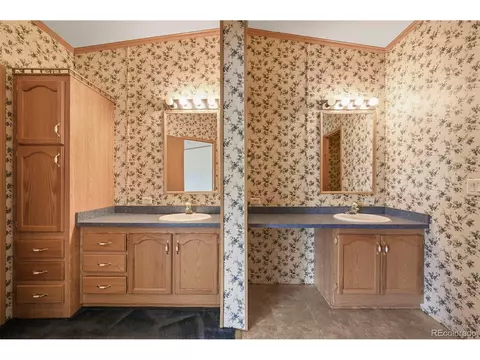 217 E Minstrel Dr, Divide, CO 80814 photo 18