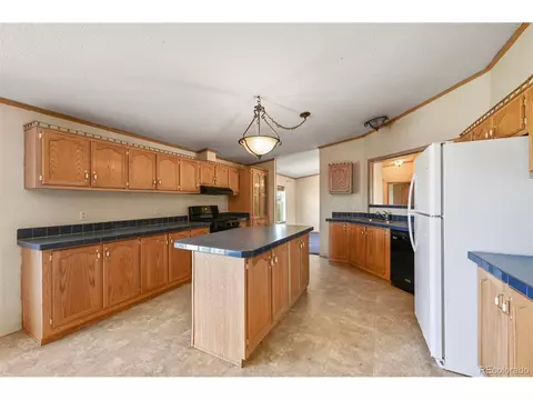 217 E Minstrel Dr, Divide, CO 80814 photo 11