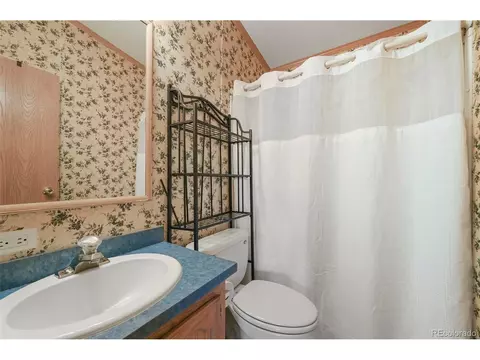 217 E Minstrel Dr, Divide, CO 80814 photo 21