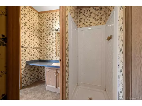 217 E Minstrel Dr, Divide, CO 80814 photo 19
