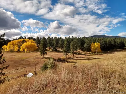 Spring Creek Rd, Buffalo Creek, CO 80425