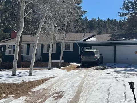 360 Yum Yum Tree Ln, Bailey, CO 80421