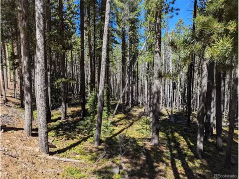 3412 Drexler Pl, Fort Garland, CO 81133