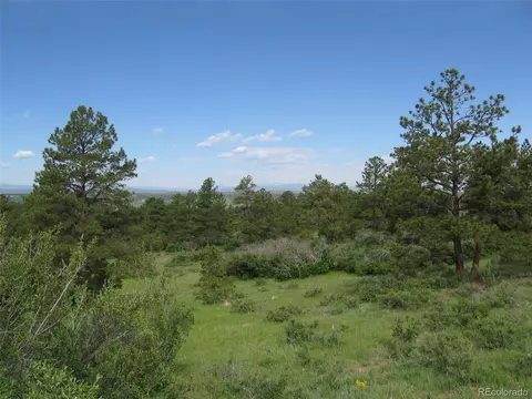 8668 Lost Lake Dr, Franktown, CO 80116