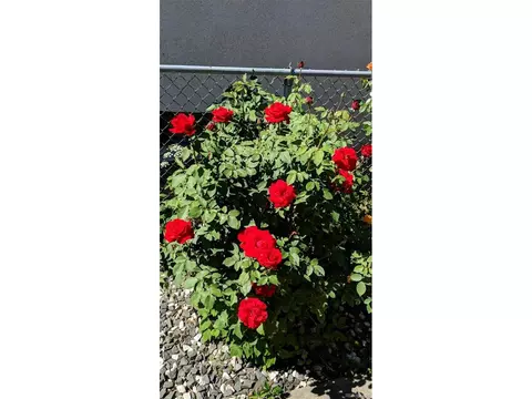Undisclosed, Denver, CO 80211 photo 39